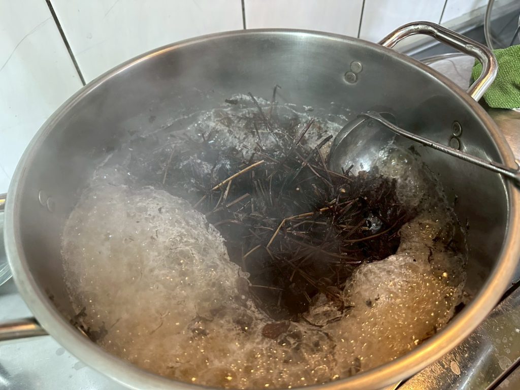 熬煮仙草茶