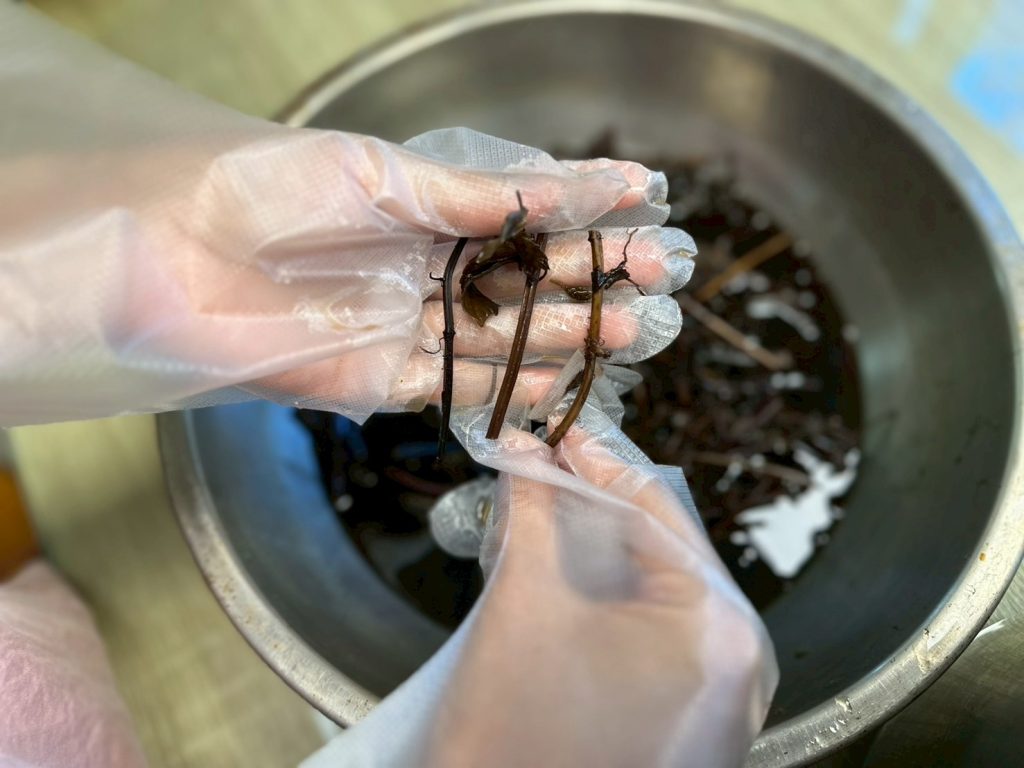 仙草膠質掉落及沒掉落的差別