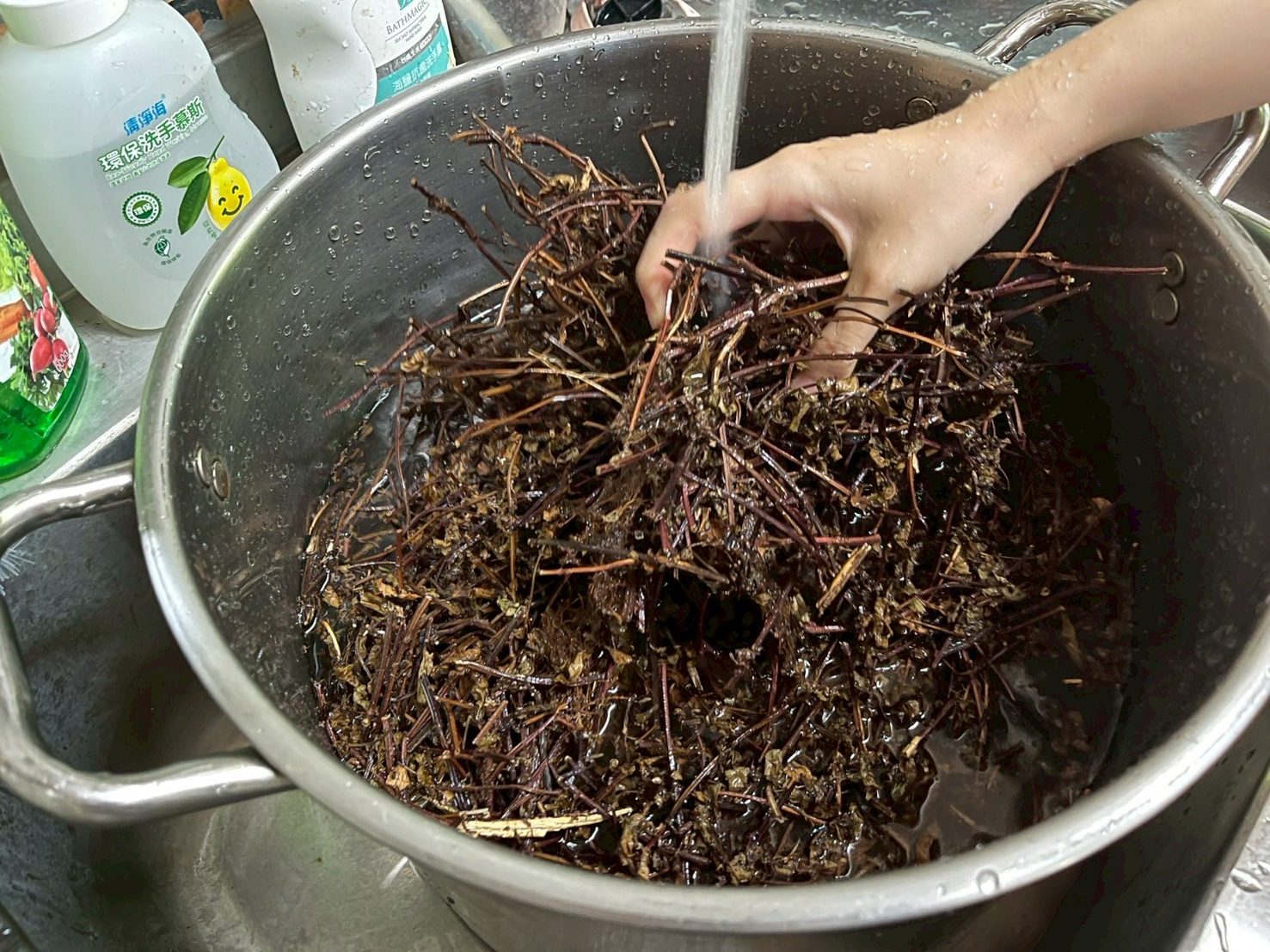 清洗仙草乾-泡水靜置30分鐘