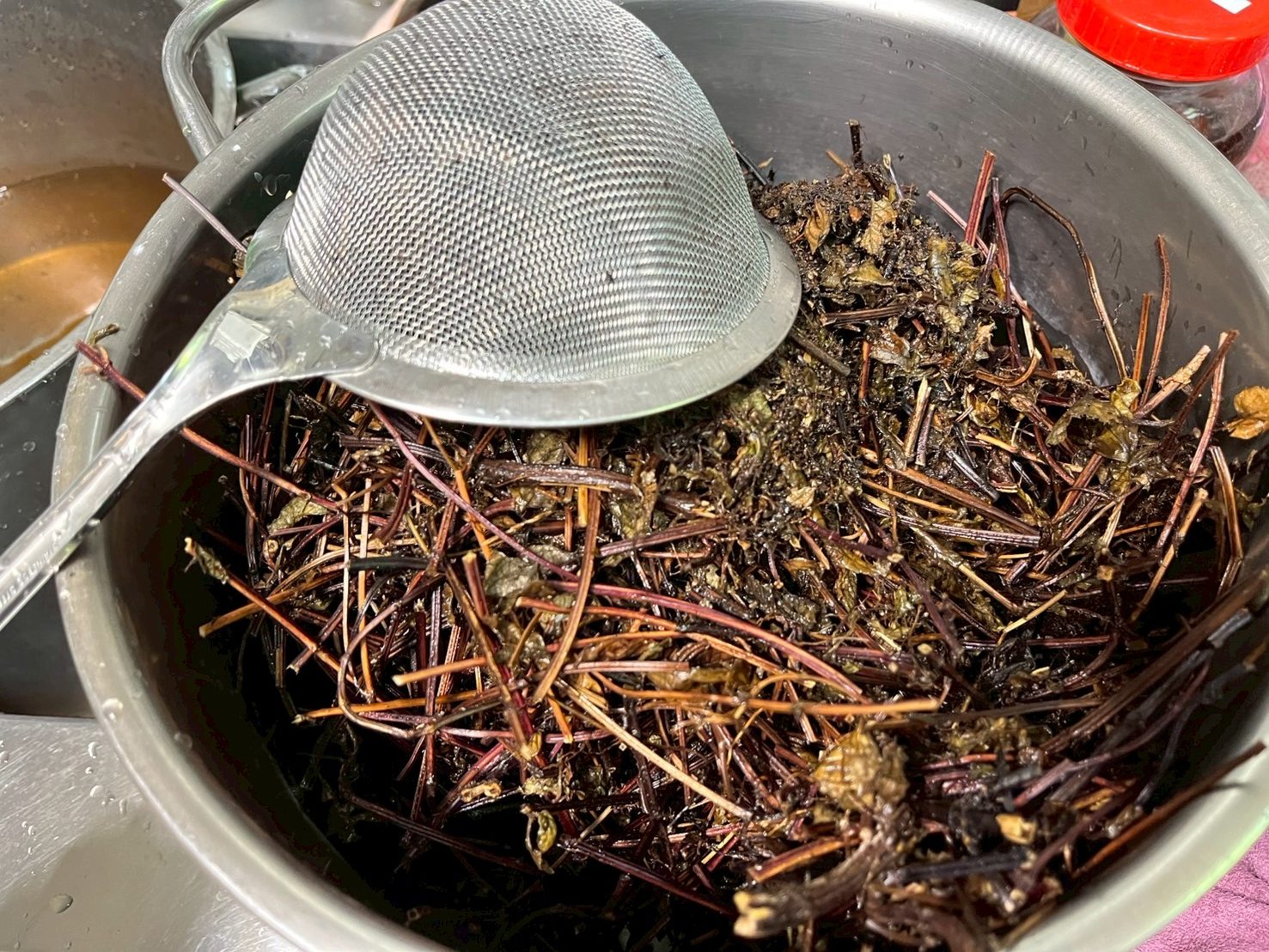 洗好的仙草乾瀝水