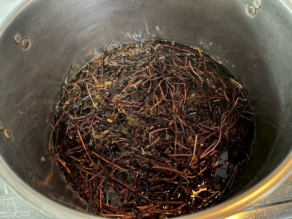 熬煮仙草茶