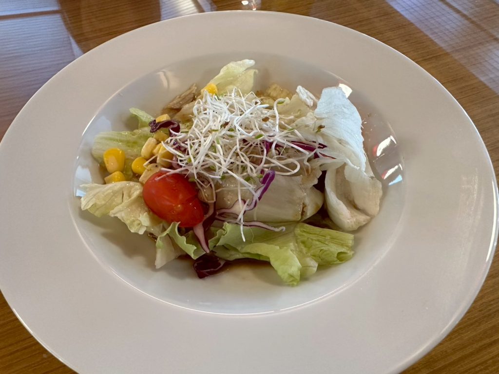 百萬人滴水坊-生菜沙拉