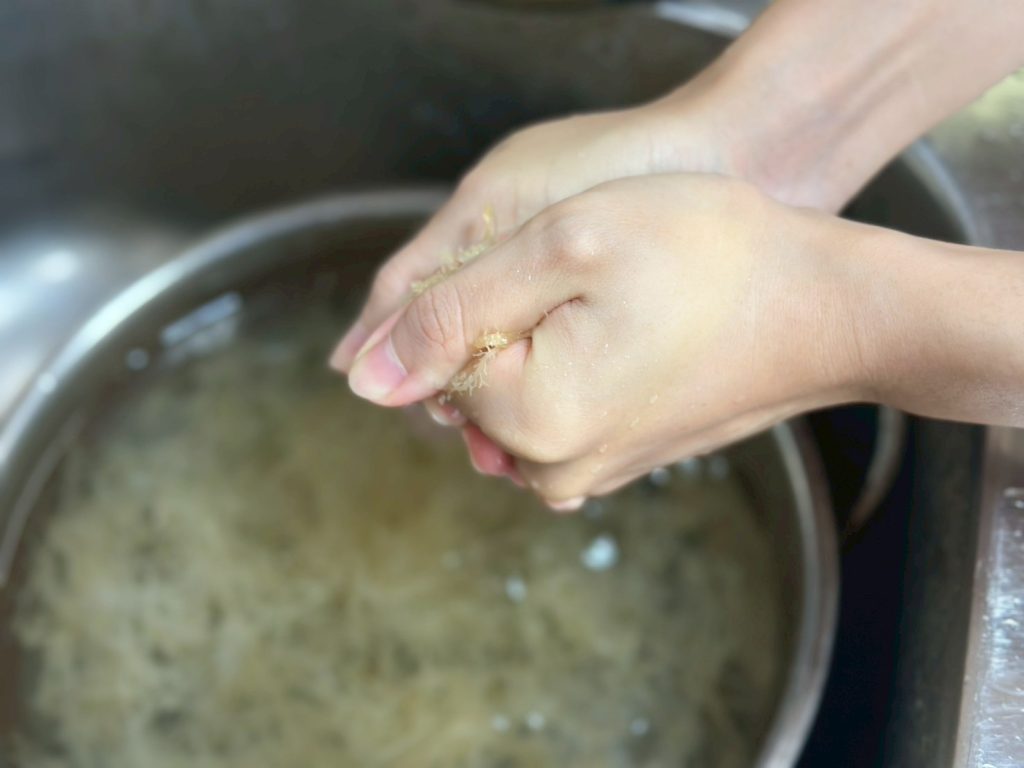 製作石花凍 石花菜清洗好擠出水分
