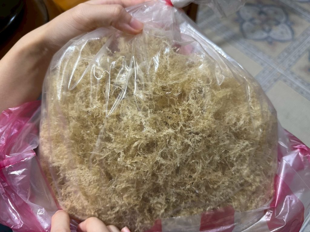 製作石花凍 乾燥石花菜